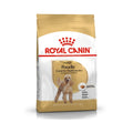 Royal Canin Poodle Adult 3 kg – Alimento para Perros Caniche Adultos