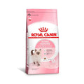 Royal Canin Kitten 1.5 kg – Alimento para Gatitos en Crecimiento