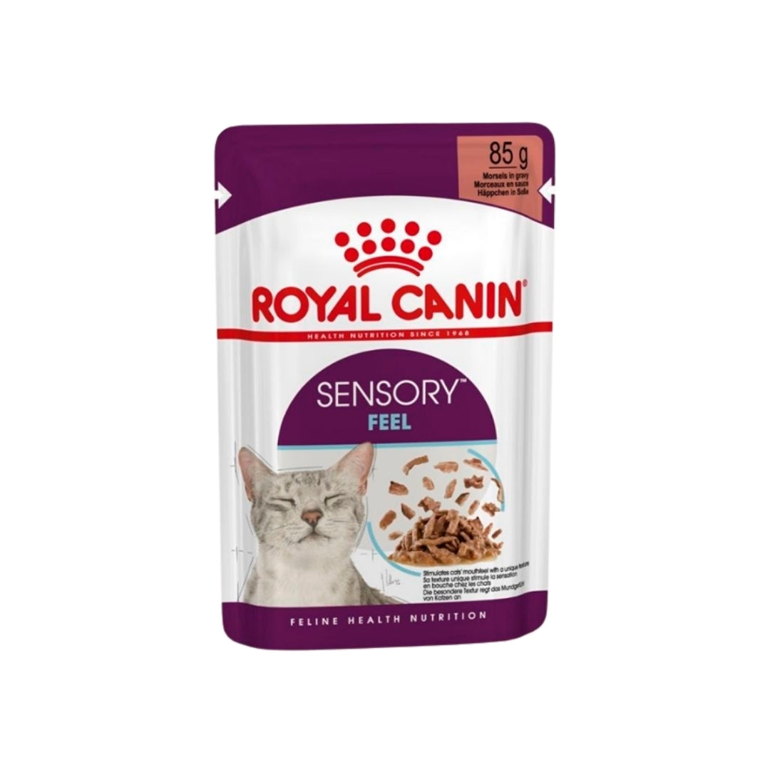 Royal Canin Sensory Feel – Alimento Húmedo para Gatos Adultos 85 gr