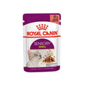 Royal Canin Sensory Smell – Alimento Húmedo para Gatos Adultos 85 gr