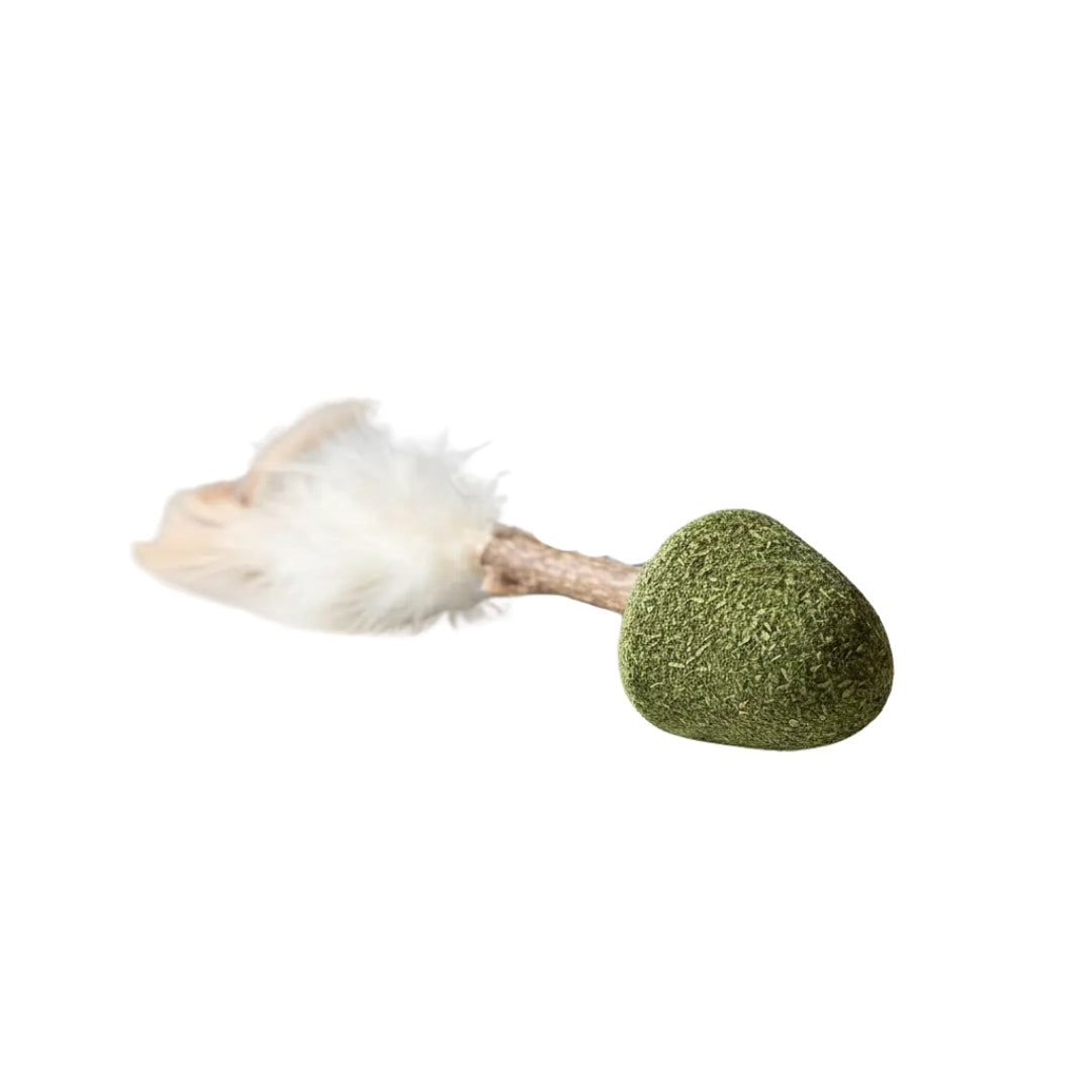 JUGUETE DE HIERBA GATERA CON PLUMAS PARA GATOS – Buen Amigo
