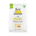 Brit Care Dog Chicken & Insect Puppy 3 kg - Perros
