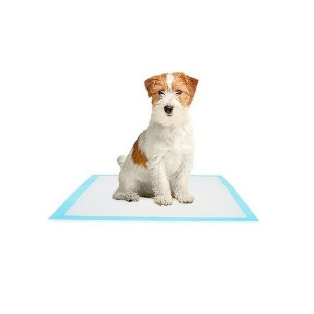 Sabanillas Higiénicas para Perros 60 x 60 cm 30 Unidades – Buen Amigo